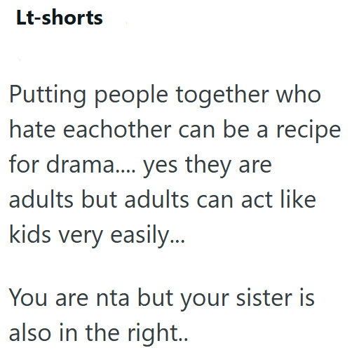Lt-shorts Putting people together who hate eachother can be a recipe for drama.... yes they are adults but adults can act like kids very easily... You are nta but your sister is also in the right..