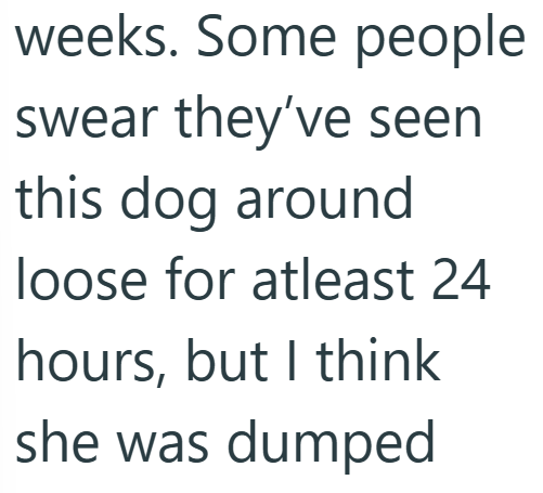 weeks. Some people swear they've seen this dog around loose for atleast 24 hours, but I think she was dumped