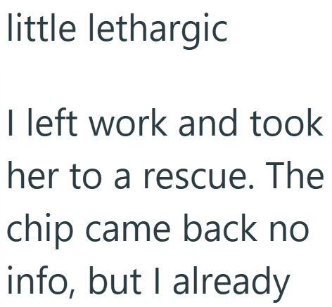 little lethargic I left work and took her to a rescue. The chip came back no info, but I already
