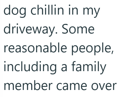 dog chillin in my driveway. Some reasonable people, including a family member came over