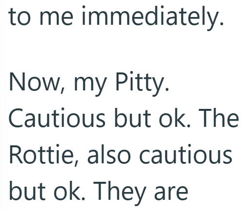 to me immediately. Now, my Pitty. Cautious but ok. The Rottie, also cautious but ok. They are