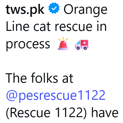 tws.pk Orange Line cat rescue in process The folks at @pesrescue1122 (Rescue 1122) have