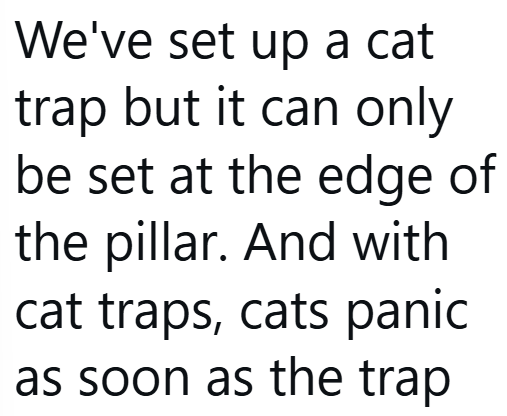 We've set up a cat trap but it can only be set at the edge of the pillar. And with cat traps, cats panic as soon as the trap