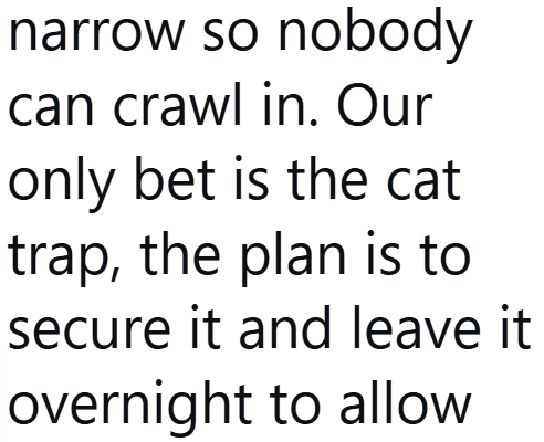 narrow so nobody can crawl in. Our only bet is the cat trap, the plan is to secure it and leave it overnight to allow