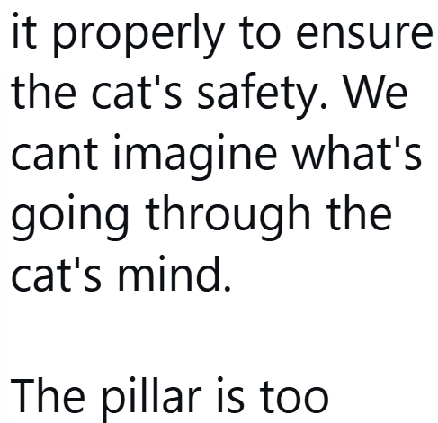 it properly to ensure the cat's safety. We cant imagine what's going through the cat's mind. The pillar is too