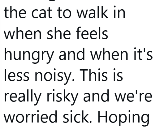 the cat to walk in when she feels hungry and when it's less noisy. This is really risky and we're worried sick. Hoping