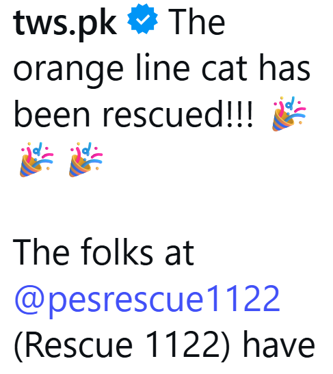tws.pk The orange line cat has been rescued!!! The folks at @pesrescue1122 (Rescue 1122) have