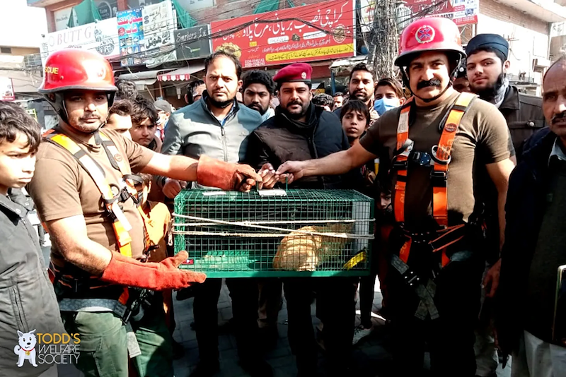 TODD'S WELFARE SOCIETY O BUTT G SCUE Taste بين هوتل: Sarkers Tx صب بریانی ، مرح پلاد مارے ہاں شادی یاد کر تقریبات کیلے کھانے آرام کے سے جانتے ہیں