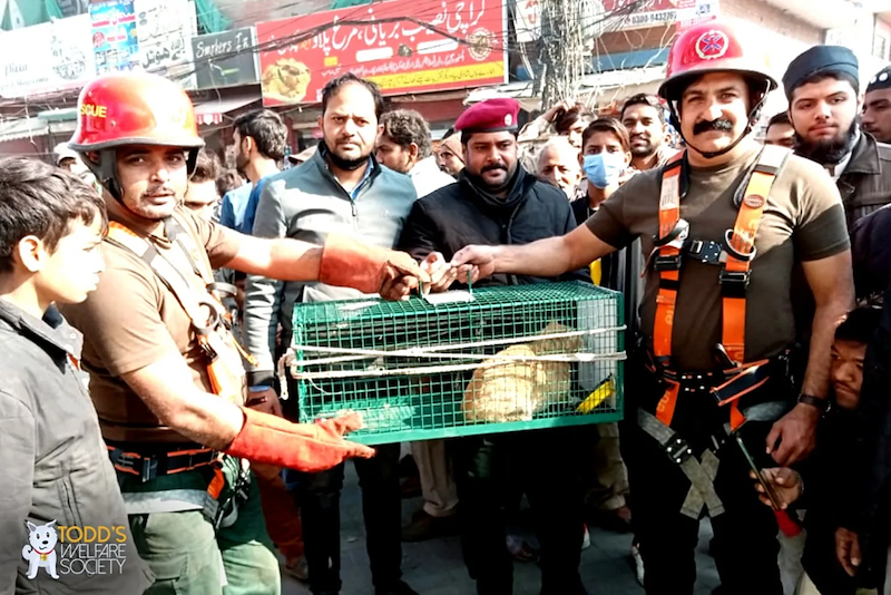 Piesa TODD'S WELFARE SOCIETY موتل Sarkers In 5432