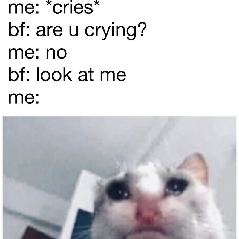 me: *cries* bf: are u crying? me: no bf: look at me me: