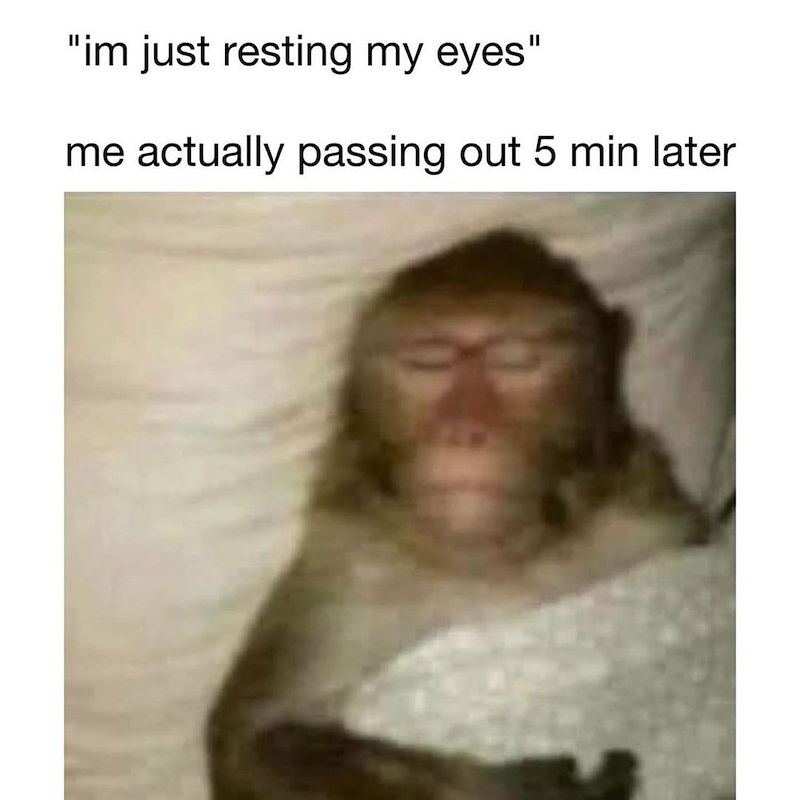 "im just resting my eyes" me actually passing out 5 min later