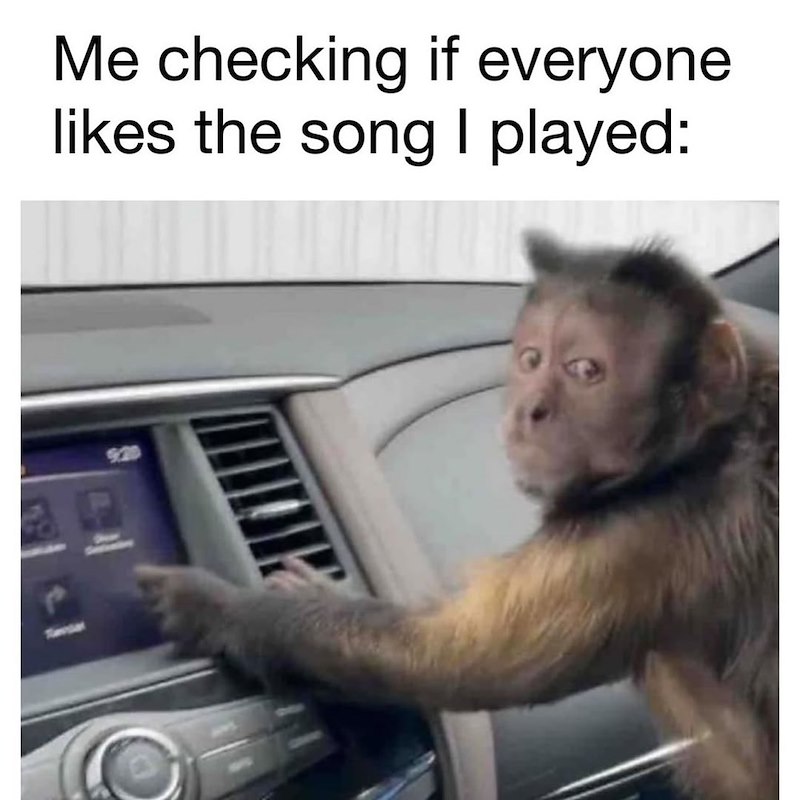Me checking if everyone likes the song I played: