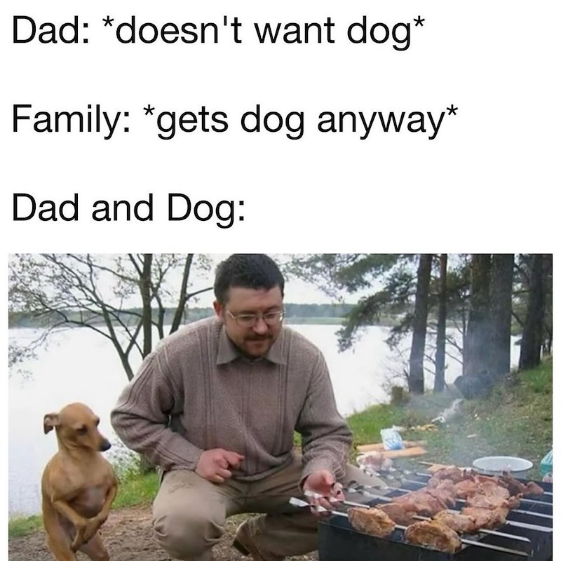Dad: *doesn't want dog* Family: *gets dog anyway* Dad and Dog: