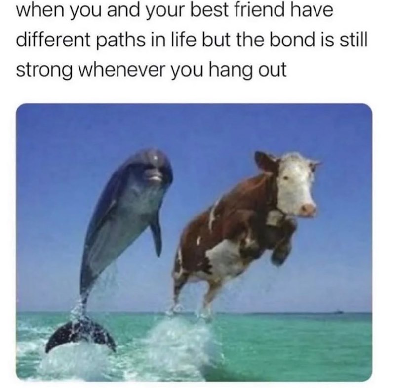 when you and your best friend have different paths in life but the bond is still strong whenever you hang out