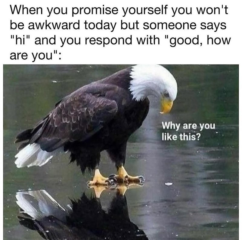 When you promise yourself you won't be awkward today but someone says "hi" and you respond with "good, how are you": Why are you like this?