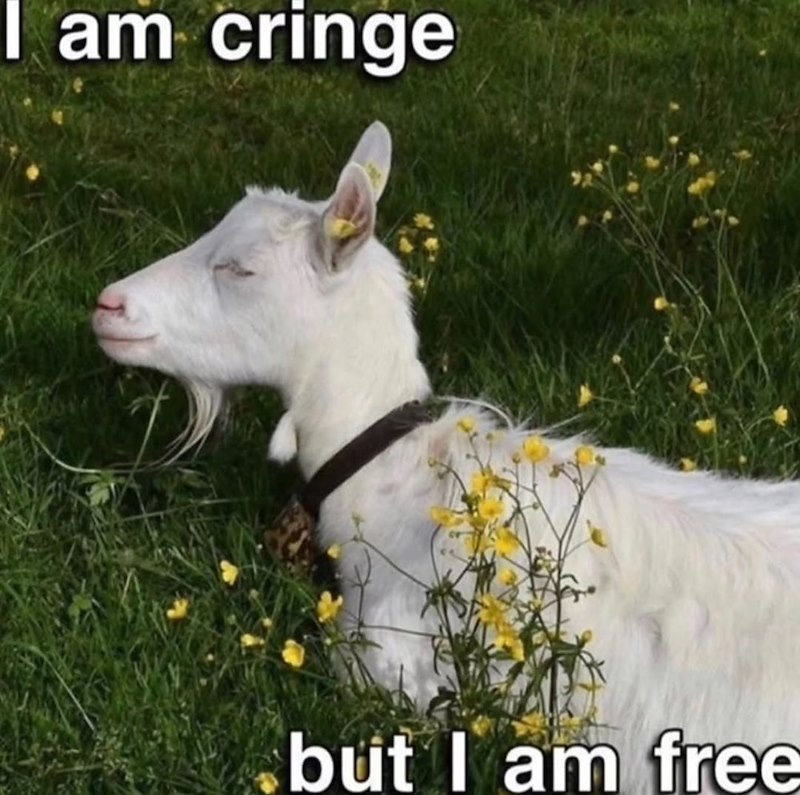 I am cringe but I am free