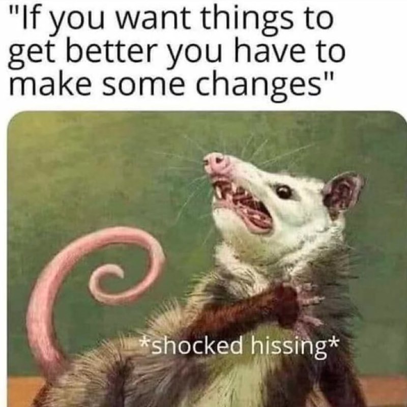 "If you want things to get better you have to make some changes" *shocked hissing*