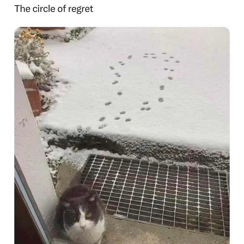 The circle of regret