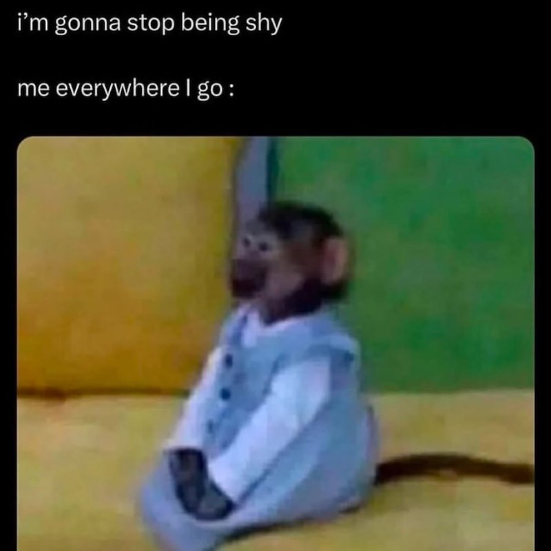 i'm gonna stop being shy me everywhere I go :