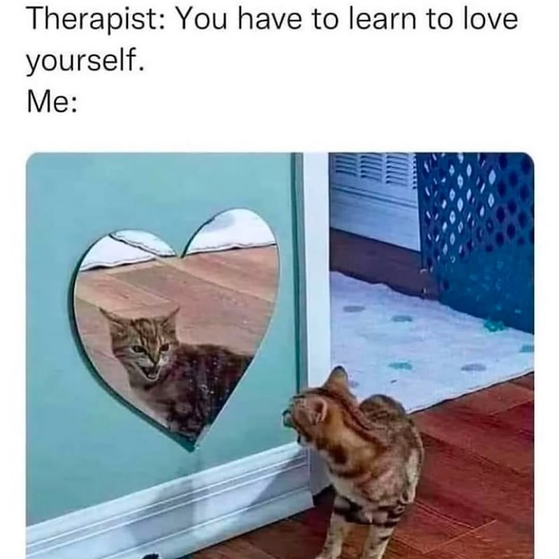 Therapist: You have to learn to love. yourself. Me: