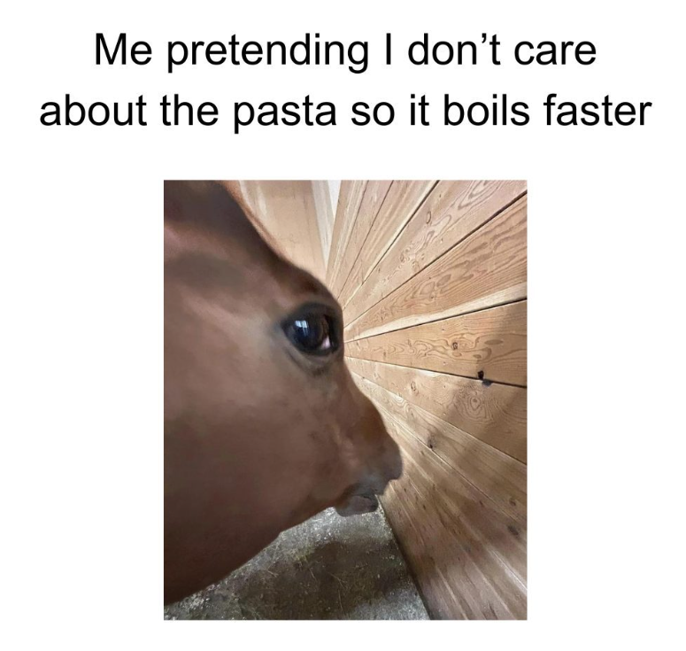 Me pretending I don't care about the pasta so it boils faster