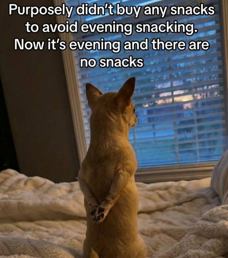 Purposely didn't buy any snacks to avoid evening snacking. Now it's evening and there are no snacks PE 57 3148