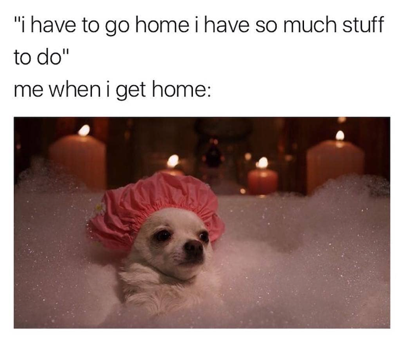 "i have to go home i have so much stuff to do" me when i get home: