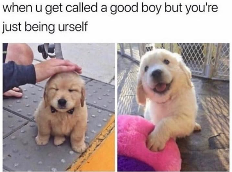 when u get called a good boy but you're just being urself
