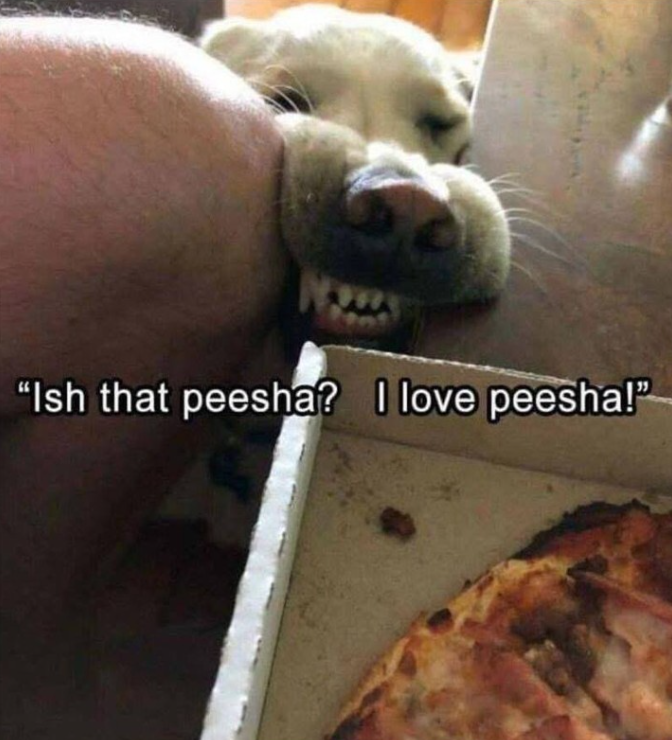 "Ish that peesha? I love peesha!"