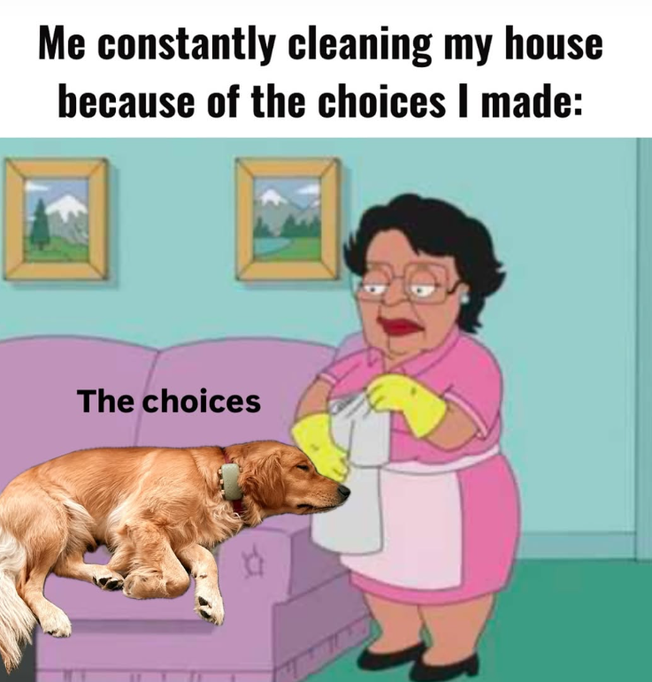 Me constantly cleaning my house because of the choices I made: The choices