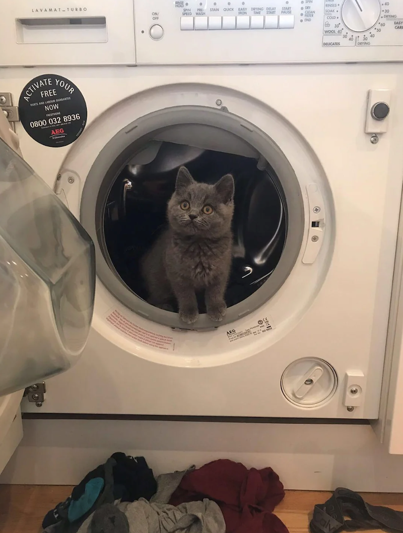 RINSE LAVAMAT TURBO HOLD SPN ON/ OFF SPIN PRE- STAIN QUICK EASY DRYING DELAY SPEED WASH START DRY RINSES 40 IRON TIME START PAUSE CLEAN SOAK .30 FILTER END COLD DRYING 60 EASY CAR WOOL 40 50 DELICATES DRYING AEG