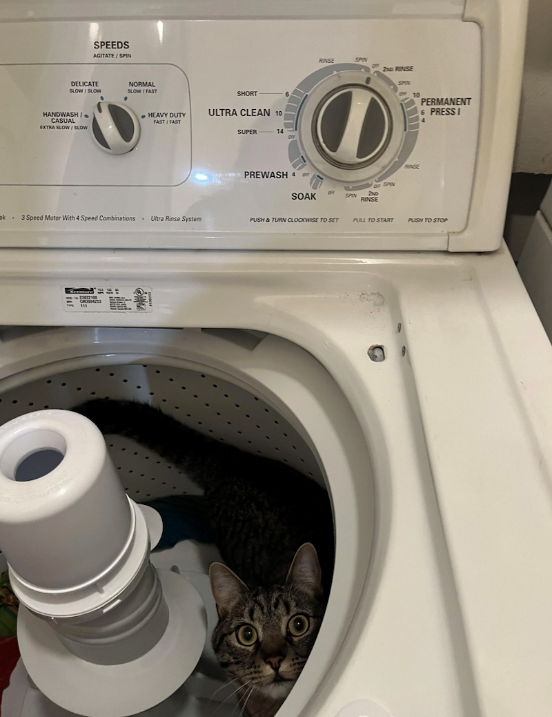 SPEEDS AGITATE / SPIN DELICATE SLOW / SLOW NORMAL SLOW / FAST HANDWASH/0 CASUAL EXTRA SLOW/SLOW HEAVY DUTY FAST/FAST SHORT ULTRA CLEAN 10 SUPER 14 RINSE SPIN 2ND RINSE SPIN 10 RINSE PREWASH 4 OFF OFF SPIN SOAK OFF SPIN 2ND RINSE PERMANENT 6 PRESSI 4 ak. 3 Speed Motor With 4 Speed Combinations . Ultra Rinse System PUSH & TURN CLOCKWISE TO SET PULL TO START PUSH TO STOP Kenmore TYPE 23822100 CM3904253 111
