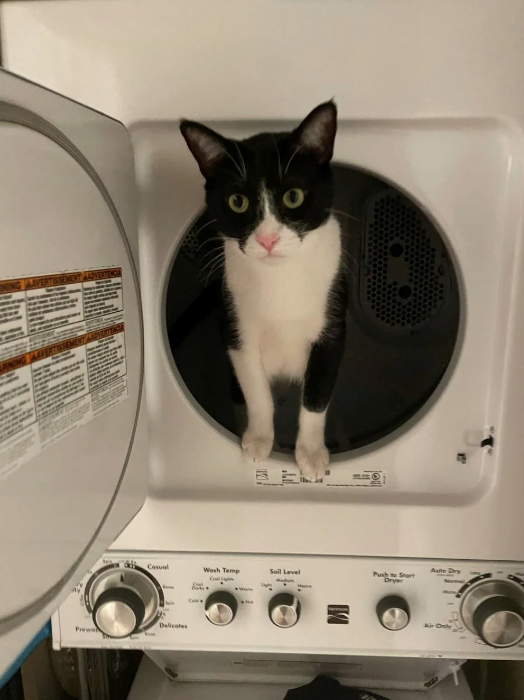 ING LAVERTISSEMENT ADVERTENCE ERTISSEMENT ADVERTENC Casual Wash Temp Soil Level Delicates J Push to Start Dryer Aute Air Only