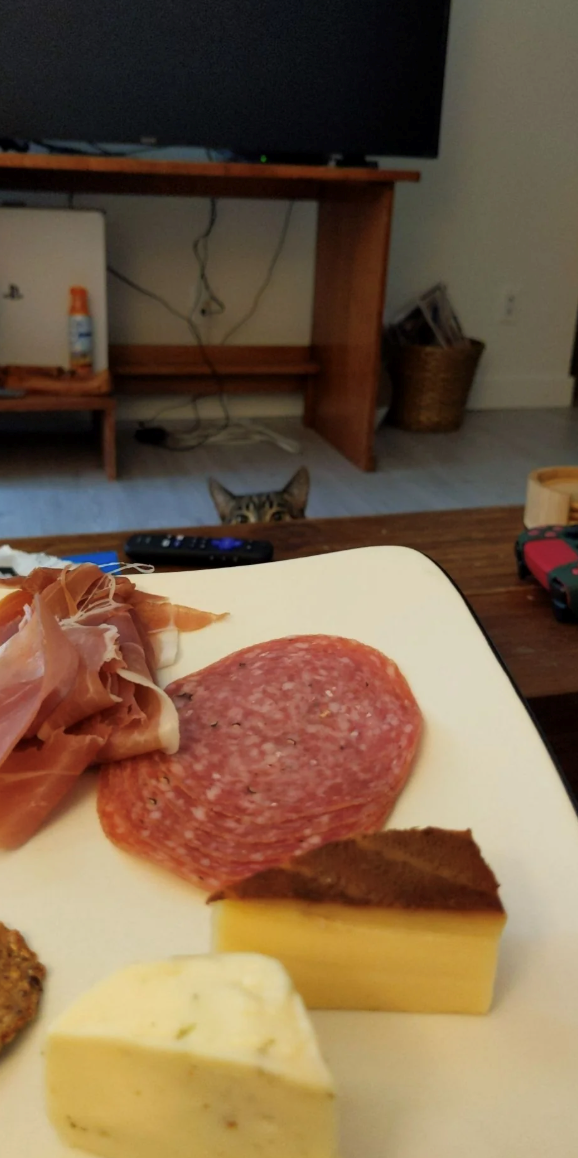 Cheezburger Image 10673397248