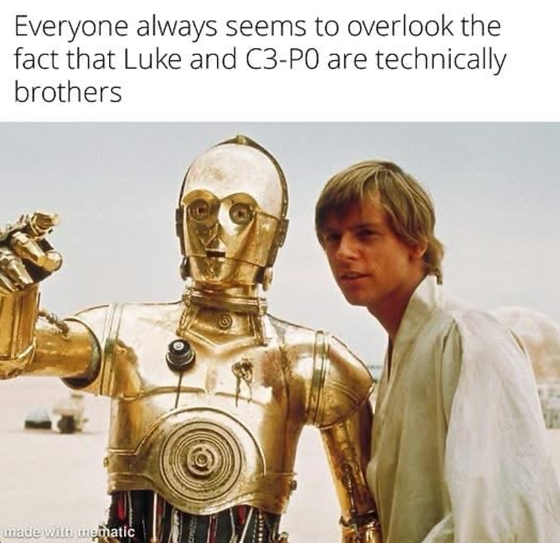 Everyone always seems to overlook the fact that Luke and C3-PO are technically brothers made with mematic