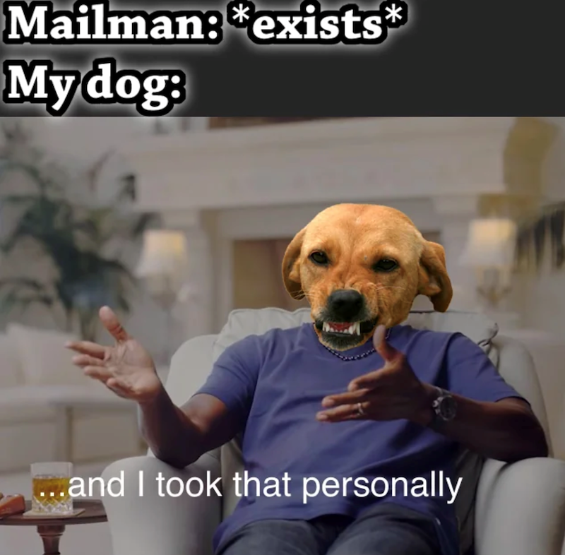 Mailman: *exists* My dog: ...and I took that personally