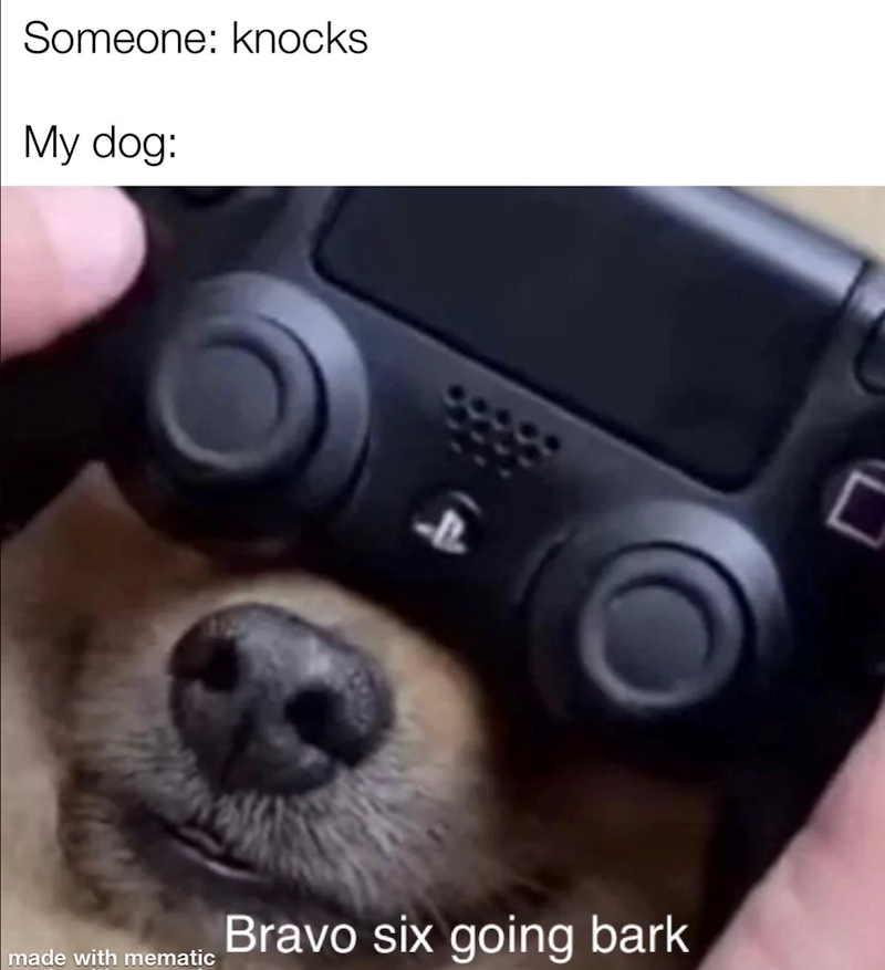 Someone: knocks My dog: 4 Bravo six going bark made with mematic