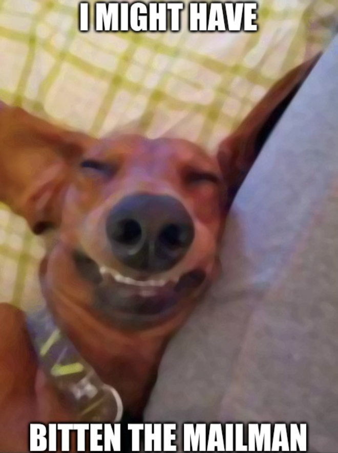 I MIGHT HAVE VE BITTEN THE MAILMAN