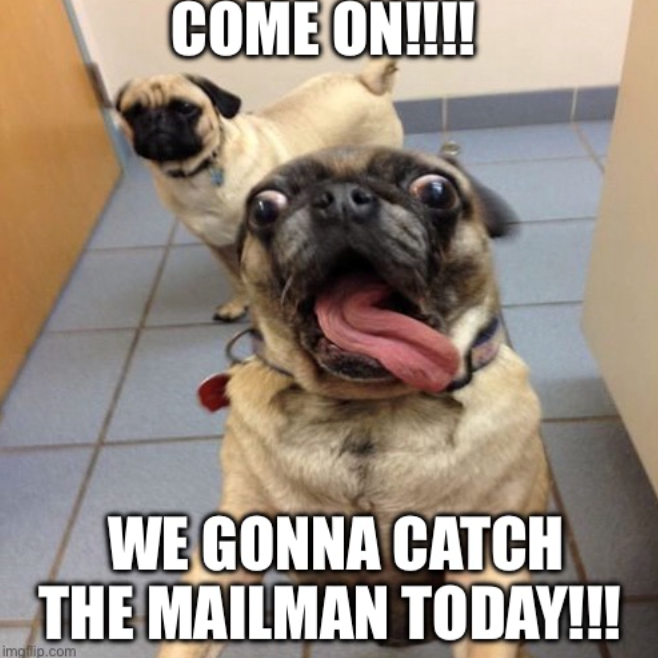 COME ON!!!! WE GONNA CATCH THE MAILMAN TODAY!!! imgflip.com