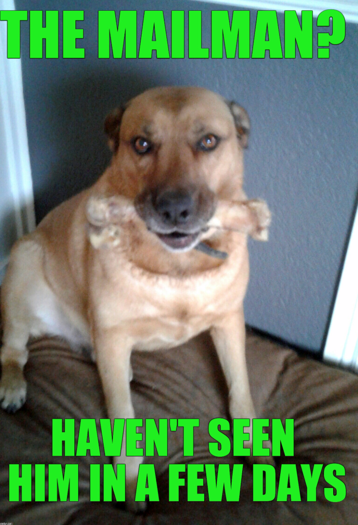 THE MAILMAN? HAVEN'T SEEN HIM IN A FEW DAYS