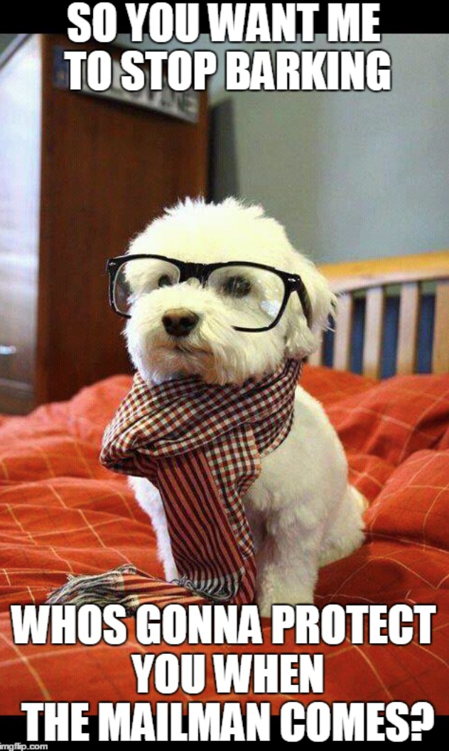 SO YOU WANT ME TO STOP BARKING WHOS GONNA PROTECT YOU WHEN THE MAILMAN COMES? imgflip.com