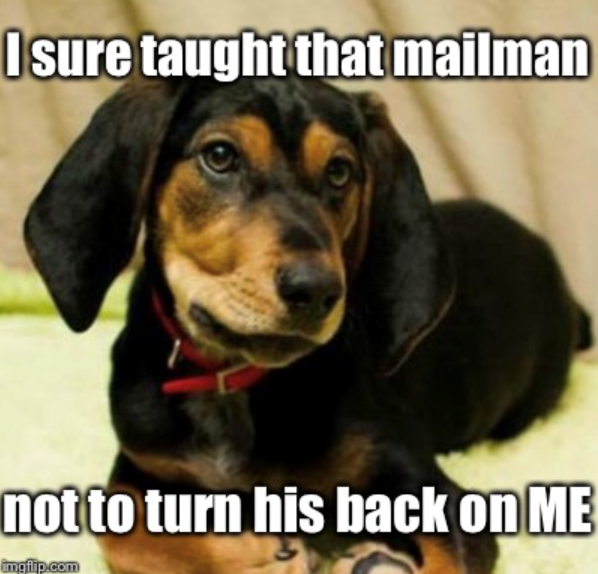 I sure taught that mailman not to turn his back on ME imgflip.com