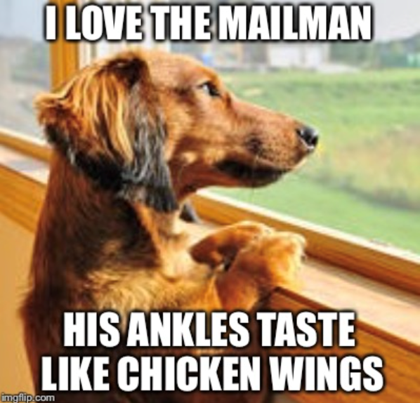 I LOVE THE MAILMAN HIS ANKLES TASTE LIKE CHICKEN WINGS imgflip.com