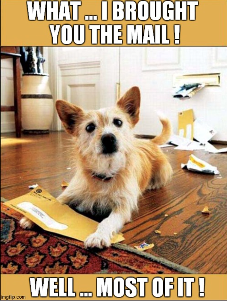 WHAT... I BROUGHT YOU THE MAIL WELL... MOST OF IT! imgflip.com