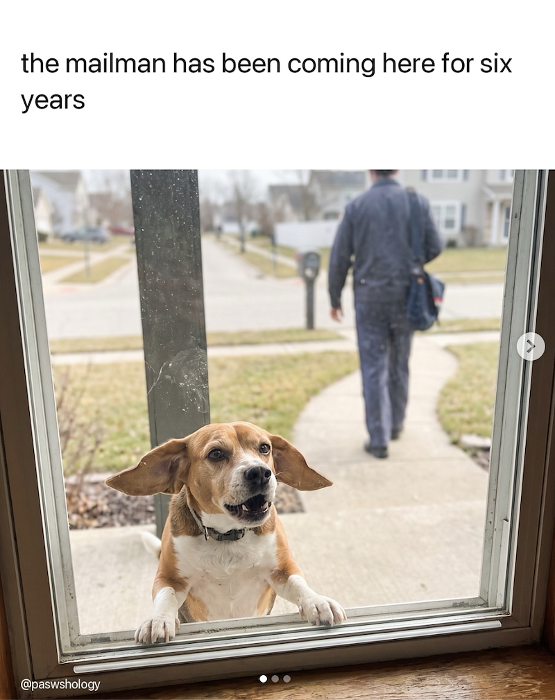 the mailman has been coming here for six years @paswshology