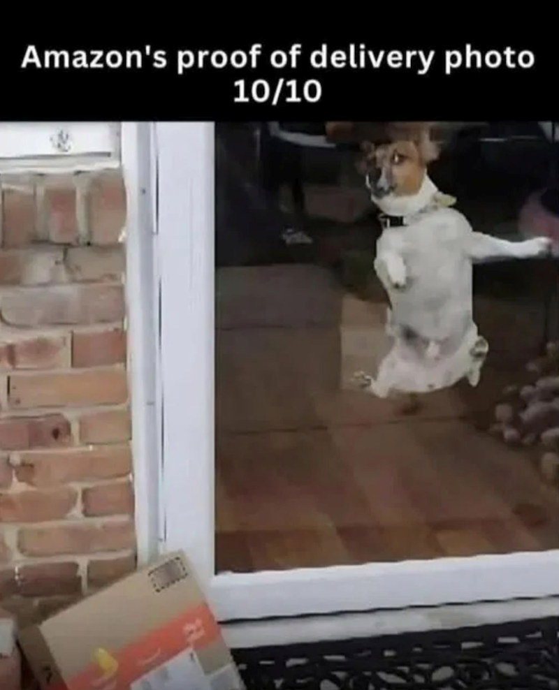 Amazon's proof of delivery photo 10/10