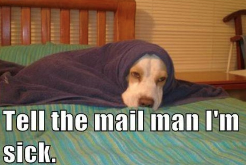 Tell the mail man I'm sick.