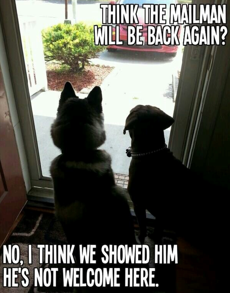 THINK THE MAILMAN WILL BE BACK AGAIN? NO, I THINK WE SHOWED HIM HE'S NOT WELCOME HERE.