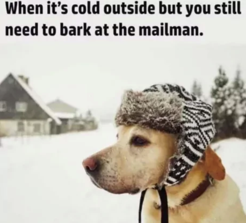 When it's cold outside but you still need to bark at the mailman.
