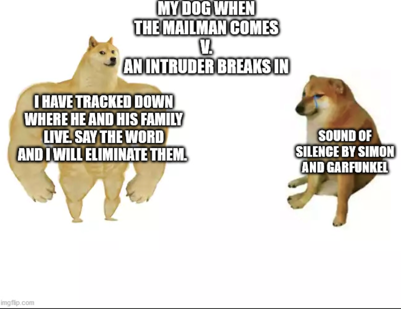 MY DOG WHEN THE MAILMAN COMES V. AN INTRUDER BREAKS IN I HAVE TRACKED DOWN WHERE HE AND HIS FAMILY LIVE. SAY THE WORD AND I WILL ELIMINATE THEM. SOUND OF SILENCE BY SIMON AND GARFUNKEL imgflip.com